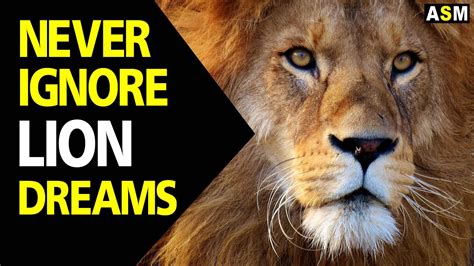 Power and Leadership: An Exploration of Lion Dreams