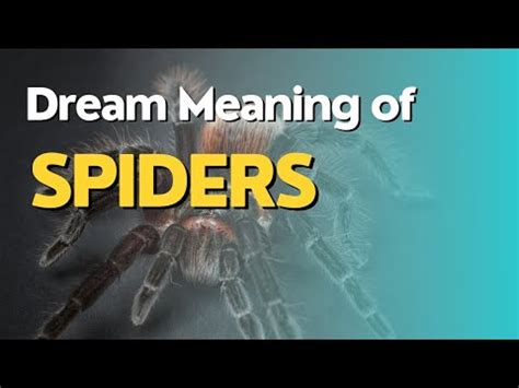 Practical Steps for Analyzing and Decoding Dreams featuring Tiny Arachnids