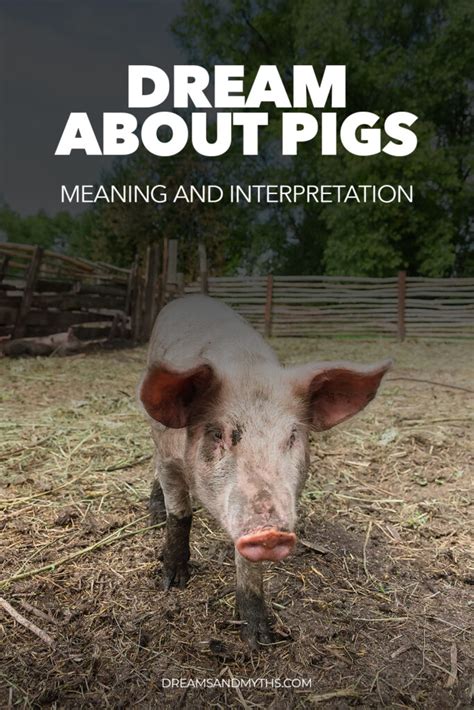 Practical Steps to Gain Insight From Your Pig-Capturing Dreams