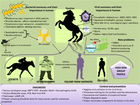 Practical Tips for Analyzing and Deciphering Dreams Involving Equine Urological Excretions