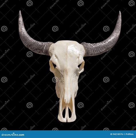 Practical Tips for Deciphering Dreams of Horned Animal Skulls