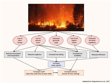 Predicting and Mitigating the Hazards of Fire Vortexes