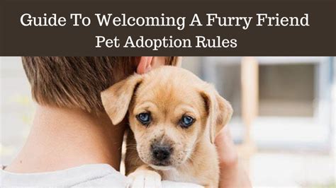 Preparation: The Key to Welcoming Your Furry Friend