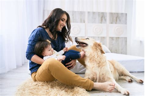 Preparing Your Home for a Furry Companion