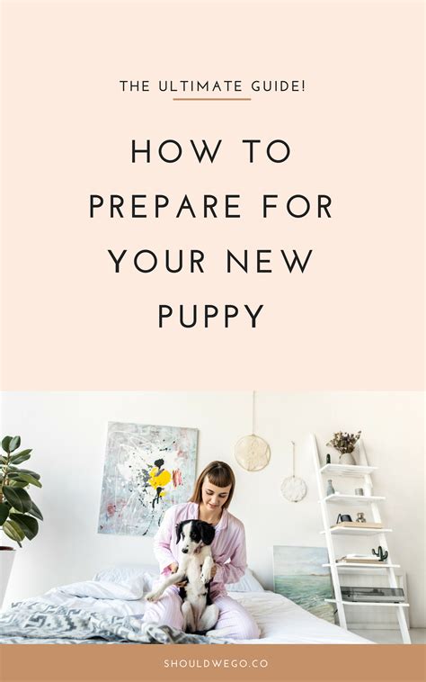 Preparing for Your Puppy Adventure