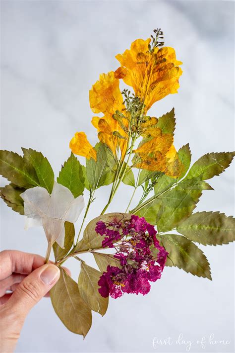 Preserving the Elegance: Techniques for Drying and Pressing Flowers