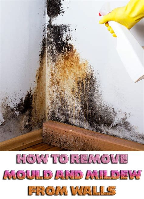 Preventing Moisture and Warding off Mold and Mildew