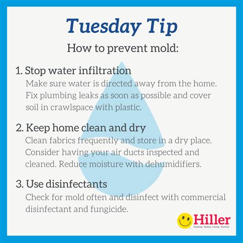 Preventing Mold and Mildew