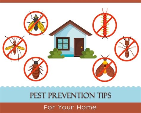 Preventing Pest Infestations through Leaf Cleaning