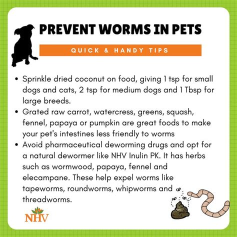 Preventing Worms in Canines: Advice for Dog Owners