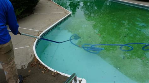 Preventing and Eliminating Algae Growth: Keep Your Pool Water Pristine