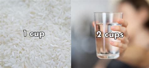 Proper Ratios for Achieving Your Desired Rice Consistency