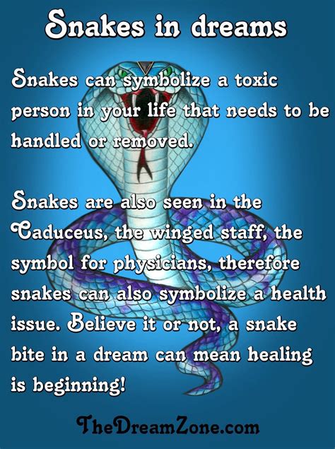 Psychological Analysis of Dreaming about a Serpent