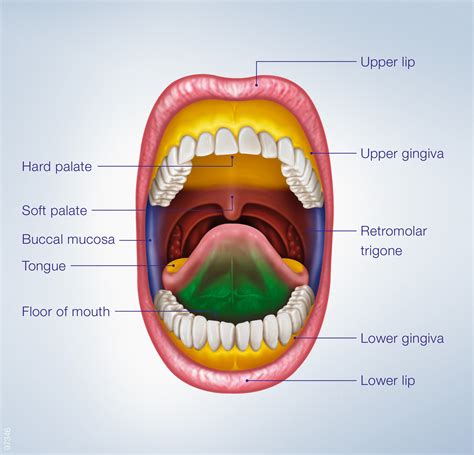 Psychological Explanation of Diamonds Emerging from the Oral Cavity