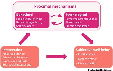 Psychological Impact: Effects of Acidic Dreams on Mental Well-being