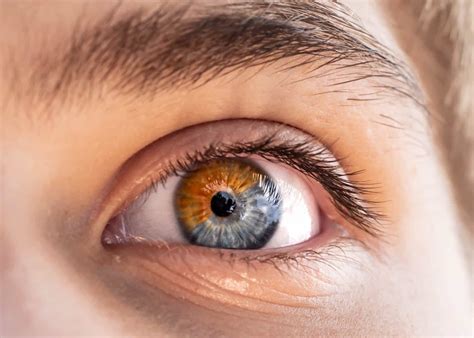 Psychological Impact: How Altering Eye Pigmentation Can Influence Self-Perception and Body Image