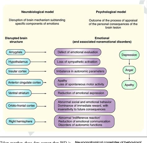 Psychological Interpretations of the Damaged Appendage