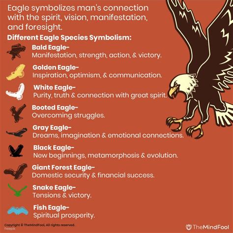 Psychological Meanings: Eagles as Symbols of Ambition and Determination