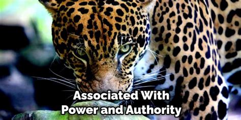 Psychological Perspective: Unraveling the Hidden Symbols in Dreams of Jaguar Aggression