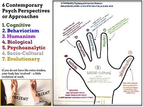 Psychological Perspectives on the Symbolism of a Finger Getting Trapped