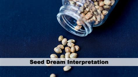 Psychological interpretations of dark seeds in dreams