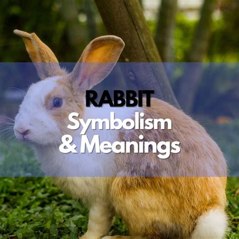 Rabbit as a Symbol of Fertility and New Beginnings