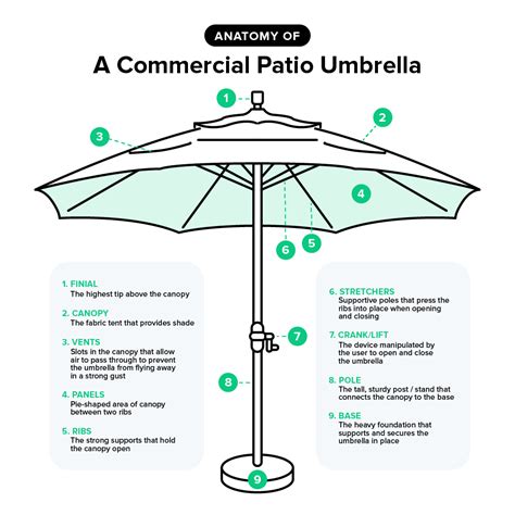 Rain or shine: The Delightful Impact of Umbrellas on Every Weather Scenario