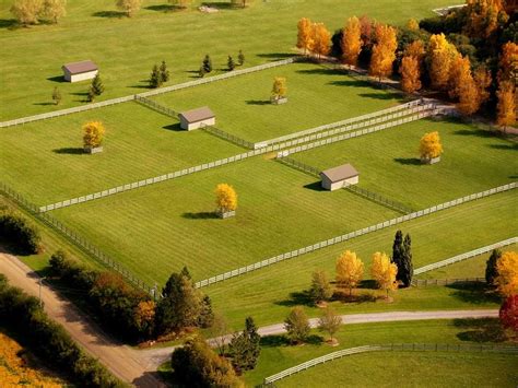 Regular Physical Activity and Access to Grazing Areas