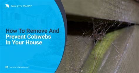 Removing Cobwebs Safely: Techniques to Avoid Damaging Surfaces