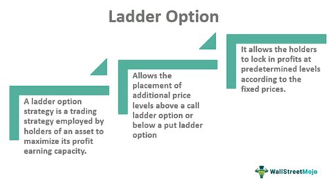 Research and Compare Various Ladder Options