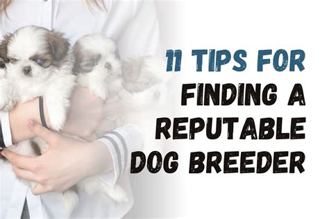 Researching and Finding a Trustworthy Breeder