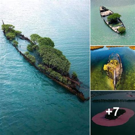 Revealing the Enigmas: Unveiling the Wealth of Submerged Vessels