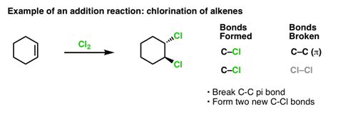 Revealing the Keys to a Fresh and Aromatic Rest