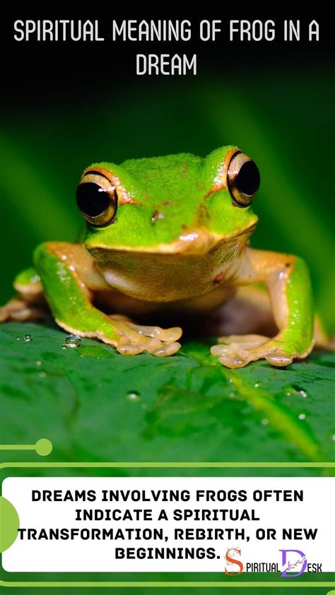 Revealing the Meaning behind Dreams Involving the Pursuit of Frogs