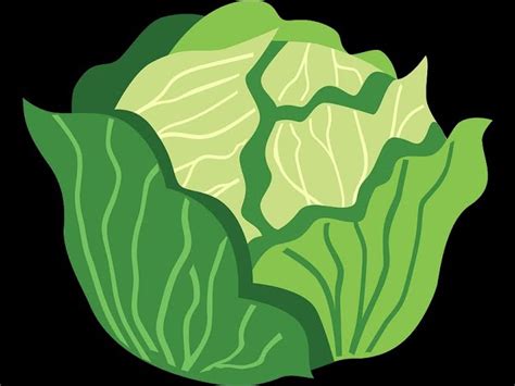 Revitalize Your Body and Mind with Chinese Cabbage: A Dream Fuel