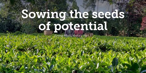 Revolutionizing Agriculture: Tapping into the Potential of Seed Collection