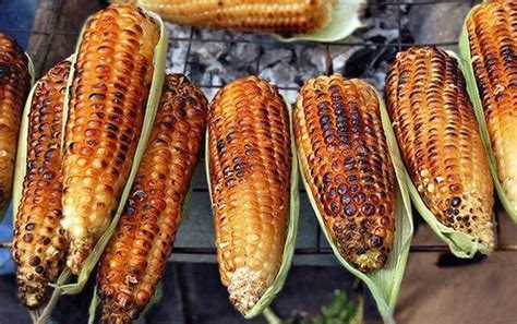 Roasted Maize as Street Food: An Irresistible Delight