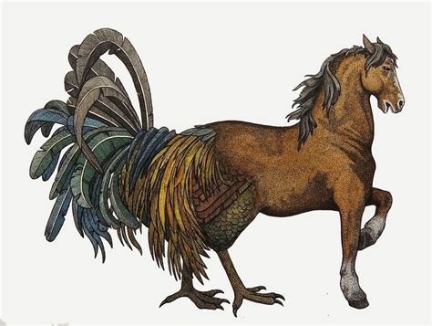 Roosters in Folklore and Mythology