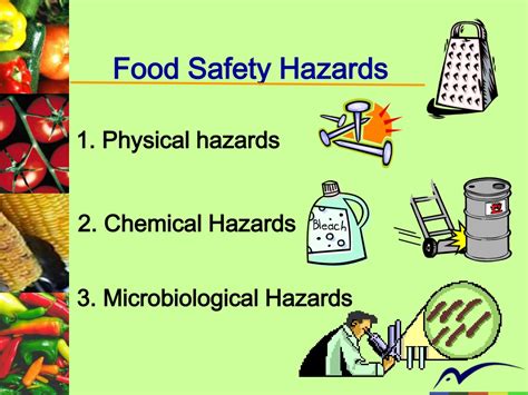 Safeguarding Our Health: Tips for Minimizing the Hazards of Contaminated Food