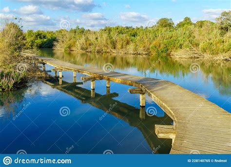 Scientific Perspective: Exploring the Possibility of Constructing an Elevated Pathway to Paradise