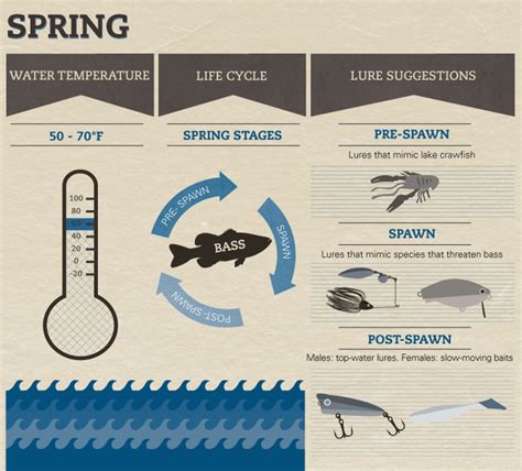 Seasonal Patterns and Migration of Trophy Bass