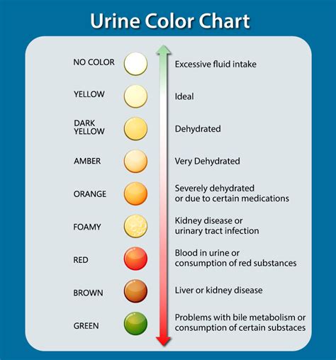 Seeking Professional Help: When Should Dreamers Be Concerned about Dreaming of Brown Urine?