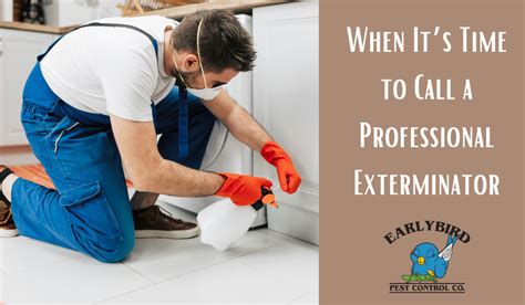 Seeking Professional Help: When to Call an Exterminator