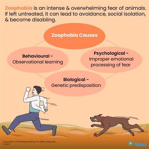 Seeking Professional Therapy for Phobias of Hazardous Wildlife