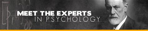 Seeking insight from professionals: What experts in psychology have to say