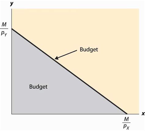 Setting a Feasible Budget