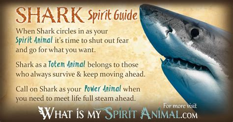 Sharks as Spirit Animals: Exploring their Symbolic Significance