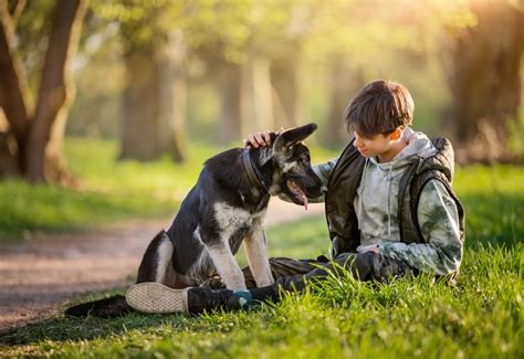 Signs from Beyond: How Departed Canines Manifest Their Presence