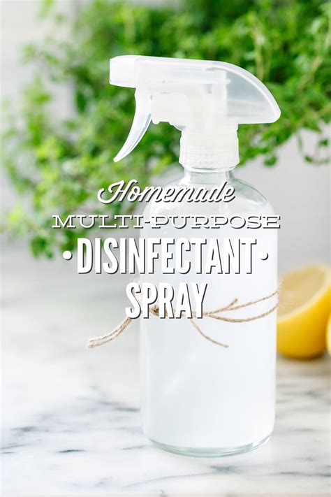 Simple Homemade Solutions for Cleaning and Deodorizing