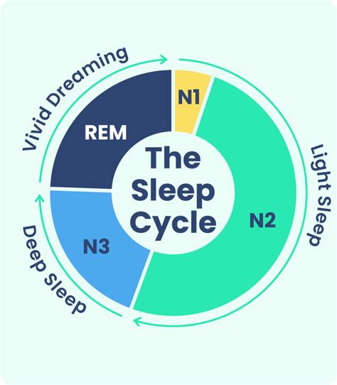 Sleep and Dream Patterns: Understanding the Link Between Your Sleeping Environment and Imagination